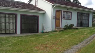 African Violet | Mbabane Accommodation
