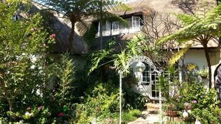 Milner 246 Guest House | Waterkloof Specials
