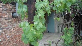 Atara Cottage | Calitzdorp Specials