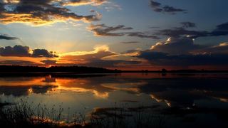 TangleWood Nature Estate | Potchefstroom Accommodation