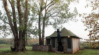 TangleWood Nature Estate | Accommodation Potchefstroom