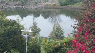 Forword's River Lodge | Accommodation Abbotsford (EL)