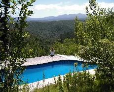 Lazy Leopard Forest Retreat
