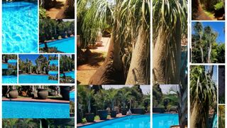 DeVosRus | Accommodation Kathu
