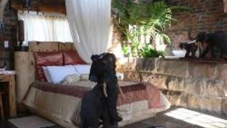 Inkwe Lodge | Bethlehem Accommodation