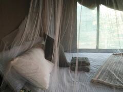 Buffalo Tented Lodge | Phalaborwa Accommodation