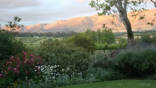Belfield Farm Cottages | Africa Specials