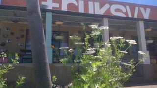 Truksvy B&B and Koffie Sjop | Accommodation Soutpan