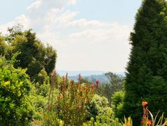 The Hilton Bed and Breakfast | Hilton Accommodation