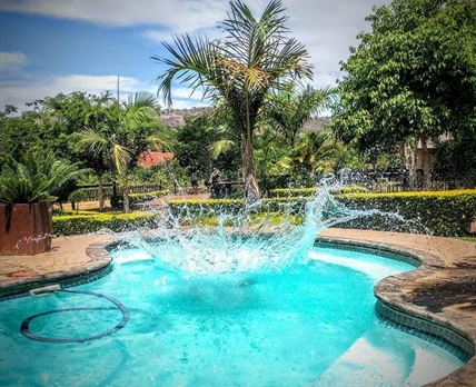Palmwag Tzaneen