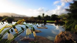 Cedar Cottage Paarl | Paarl Self-catering