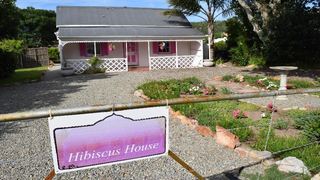 Hibiscus House | Port Alfred Specials
