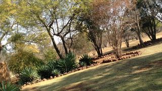 Matalatala Wildlife Reserve | Cullinan Accommodation