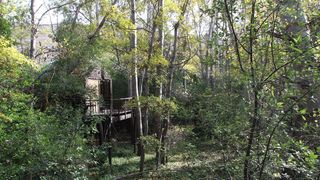 Tree Tops | Citrusdal Specials