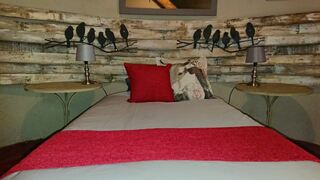Nyala Lodge | Accommodation Makhado (Louis Trichardt)