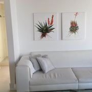 Milkwood Sands | Self-catering Summerstrand