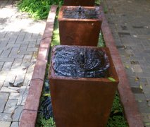 Wild Olive Guesthouse | Rustenburg Accommodation