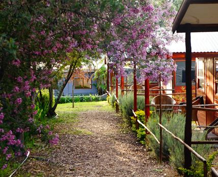 Kunguru Lodge / Tri Active Events Management.