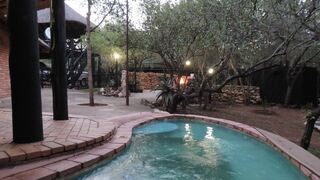 Swartwitpens 2694 Marloth Park | Accommodation Marloth Park