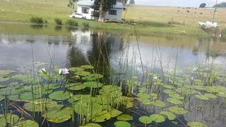 Knoetzie Kama | Accommodation George