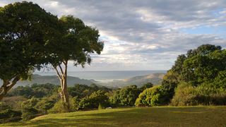 Ntafufu Eco Lodge | Accommodation Port St Johns