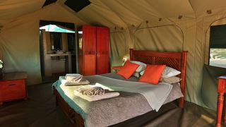 Mogotlho Safari Lodge | Accommodation Khwai