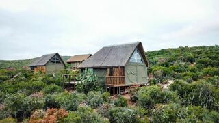 Harmony Game Lodge | Port Elizabeth and surrounds Accommodation