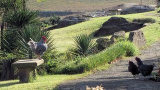 Vreugde Gasteplaas Self-Catering | Warden Self-catering