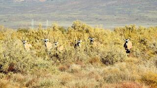 Zwartkop Guestfarm | Ceres Accommodation