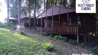 Plett Forest Cabins | Harkerville Accommodation