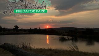 Loebies Guestfarm & Predator Park | Waterberg Specials
