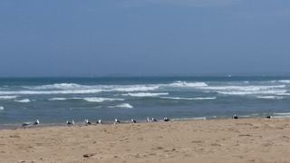 Ruthers Place Aston Bay | Aston Bay Specials