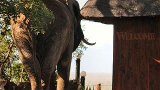 Roamers Rest Safari Lodge | Balule Nature Reserve Accommodation