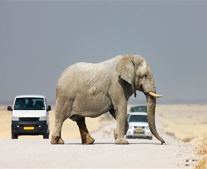 9 Night Culture & Wildlife in Northeastern Namibia Package