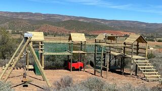 The Travelling Tortoise | Little Karoo Specials