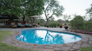 Ku Sungula Safari Lodge | Balule Nature Reserve Lodges