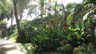 SWEETHOME | Accommodation Gigiri