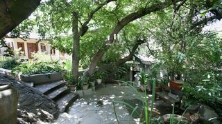 Little Forest Guesthouse, Parkhurst | Parkhurst Accommodation