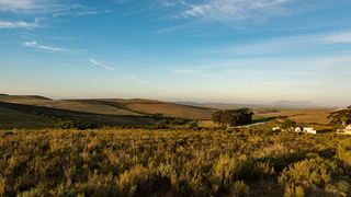 Haarwegskloof Renosterveld Reserve | De Hoop Nature Reserve Accommodation