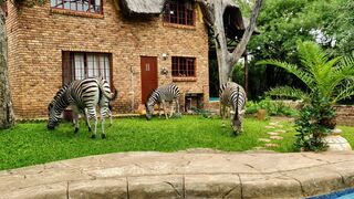Rafiki's Resthouse | Accommodation Marloth Park