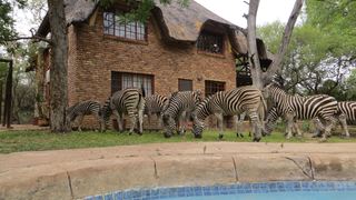 Rafiki's Resthouse | Marloth Park Self-catering