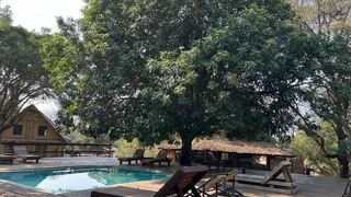 Rio Dos Elefantes River Lodge | Accommodation Balule Nature Reserve