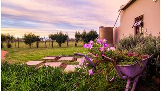 Meurant Self-Catering Cottage | Accommodation Riversdale