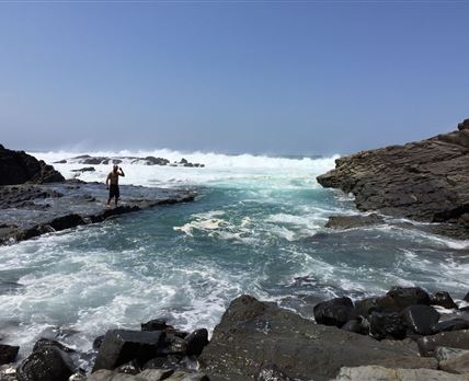 Friends Wild Coast Backpackers