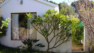 Fig Leaf Cottage | Murdoch Valley Self-catering