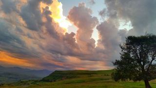 Windmill Farm | Accommodation Northern Drakensberg