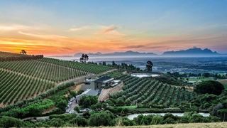 1 Day Best of Stellenbosch Winelands Tour | Accommodation Stellenbosch
