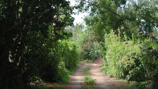 Maywood Farm Cottage | Monzi SH Accommodation