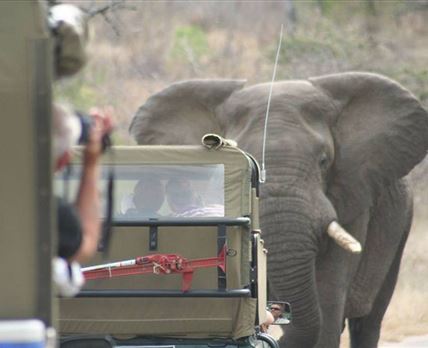 2 Night Just Safari Get Away to Kruger Park