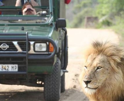 4 Night Kruger Park Safari and Activities Tour